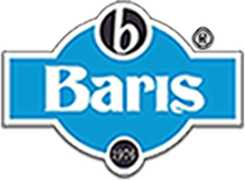  Logo at footer